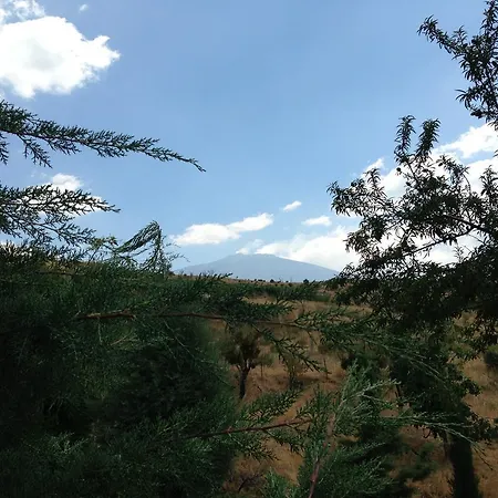 Turismo Rurale Oro Verde-3